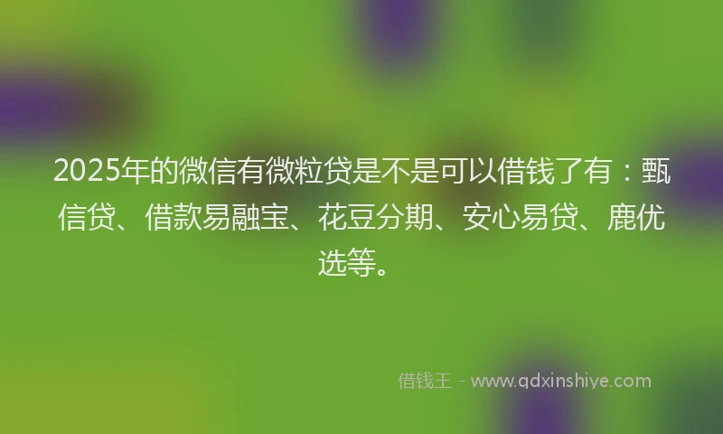 2025年的微信有微粒贷是不是可以借钱了有：甄信贷、借款易融宝、花豆分期、安心易贷、鹿优选等。