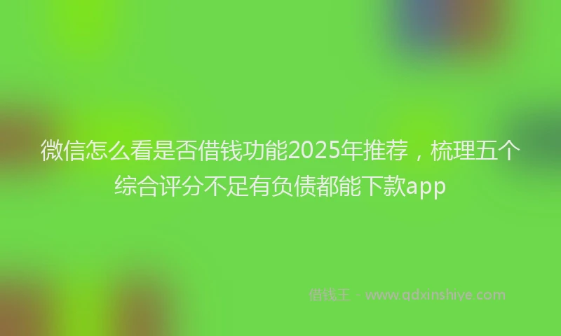 微信怎么看是否借钱功能2025年推荐，梳理五个综合评分不足有负债都能下款app