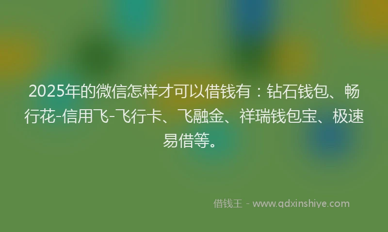2025年的微信怎样才可以借钱有：钻石钱包、畅行花-信用飞-飞行卡、飞融金、祥瑞钱包宝、极速易借等。