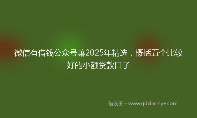 微信有借钱公众号嘛2025年精选，概括五个比较好的小额贷款口子