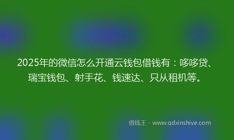 2025年的微信怎么开通云钱包借钱有：哆哆贷、瑞宝钱包、射手花、钱速达、只从租机等。