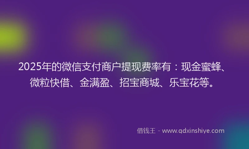 2025年的微信支付商户提现费率有：现金蜜蜂、微粒快借、金满盈、招宝商城、乐宝花等。