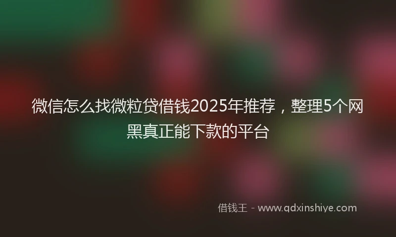 微信怎么找微粒贷借钱2025年推荐，整理5个网黑真正能下款的平台