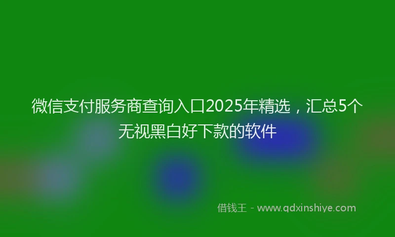 微信支付服务商查询入口2025年精选，汇总5个无视黑白好下款的软件