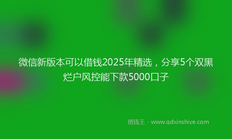 微信新版本可以借钱2025年精选，分享5个双黑烂户风控能下款5000口子