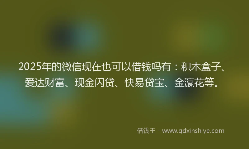 2025年的微信现在也可以借钱吗有：积木盒子、爱达财富、现金闪贷、快易贷宝、金瀛花等。