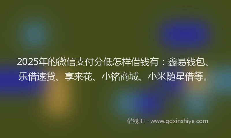 2025年的微信支付分低怎样借钱有：鑫易钱包、乐借速贷、享来花、小铭商城、小米随星借等。