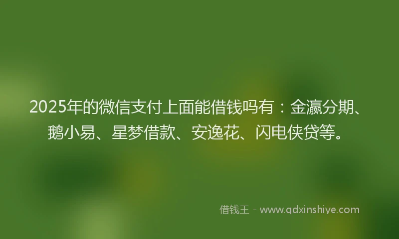 2025年的微信支付上面能借钱吗有：金瀛分期、鹅小易、星梦借款、安逸花、闪电侠贷等。