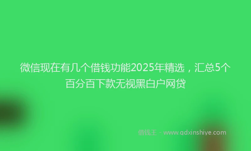 微信现在有几个借钱功能2025年精选，汇总5个百分百下款无视黑白户网贷