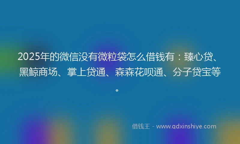 2025年的微信没有微粒袋怎么借钱有：臻心贷、黑鲸商场、掌上贷通、森森花呗通、分子贷宝等。