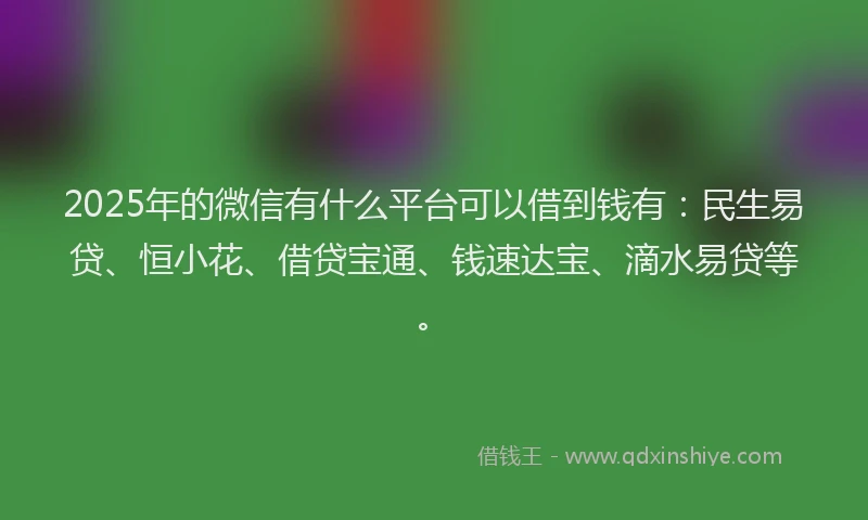 2025年的微信有什么平台可以借到钱有：民生易贷、恒小花、借贷宝通、钱速达宝、滴水易贷等。