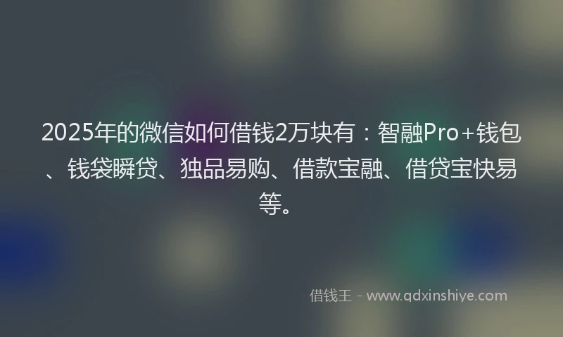 2025年的微信如何借钱2万块有：智融Pro+钱包、钱袋瞬贷、独品易购、借款宝融、借贷宝快易等。