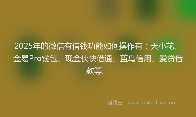 2025年的微信有借钱功能如何操作有：天小花、金易Pro钱包、现金侠快借通、蓝鸟信用、爱贷借款等。