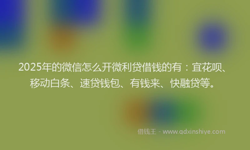 2025年的微信怎么开微利贷借钱的有：宜花呗、移动白条、速贷钱包、有钱来、快融贷等。