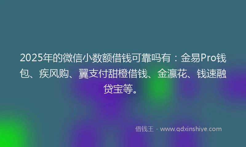 2025年的微信小数额借钱可靠吗有：金易Pro钱包、疾风购、翼支付甜橙借钱、金瀛花、钱速融贷宝等。