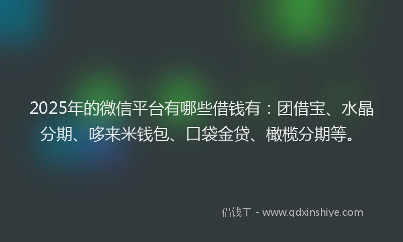 2025年的微信平台有哪些借钱有：团借宝、水晶分期、哆来米钱包、口袋金贷、橄榄分期等。