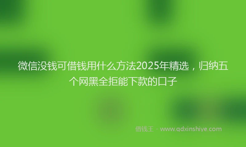微信没钱可借钱用什么方法2025年精选，归纳五个网黑全拒能下款的口子