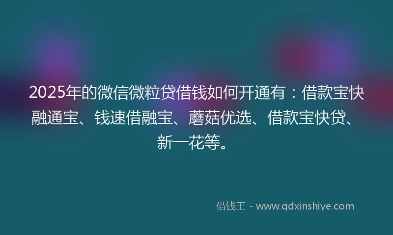 2025年的微信微粒贷借钱如何开通有：借款宝快融通宝、钱速借融宝、蘑菇优选、借款宝快贷、新一花等。