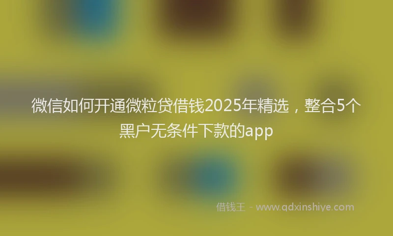 微信如何开通微粒贷借钱2025年精选，整合5个黑户无条件下款的app
