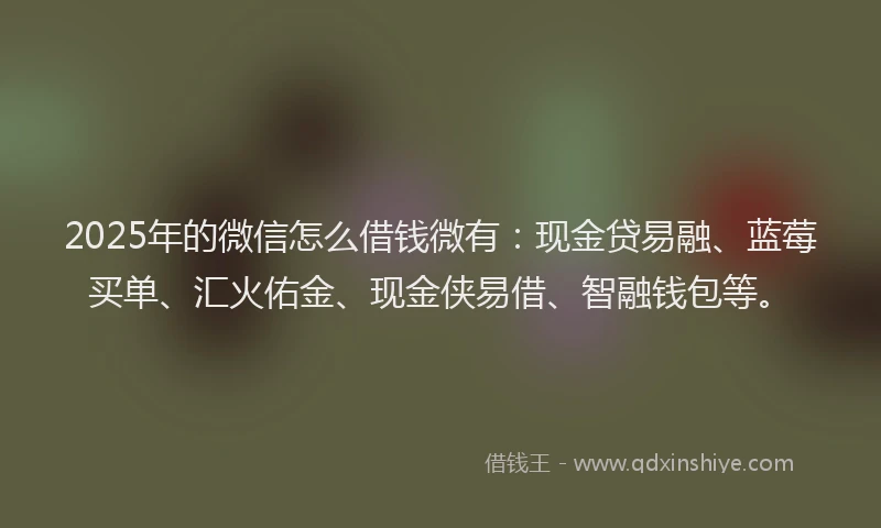 2025年的微信怎么借钱微有：现金贷易融、蓝莓买单、汇火佑金、现金侠易借、智融钱包等。