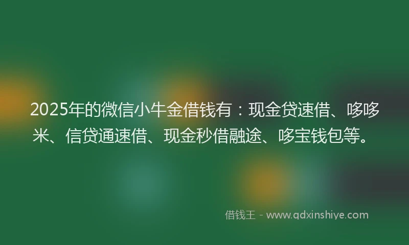 2025年的微信小牛金借钱有：现金贷速借、哆哆米、信贷通速借、现金秒借融途、哆宝钱包等。