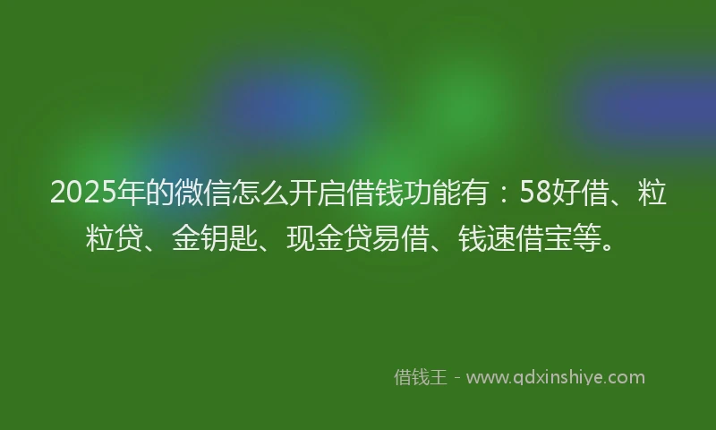 2025年的微信怎么开启借钱功能有：58好借、粒粒贷、金钥匙、现金贷易借、钱速借宝等。