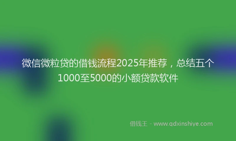微信微粒贷的借钱流程2025年推荐，总结五个1000至5000的小额贷款软件