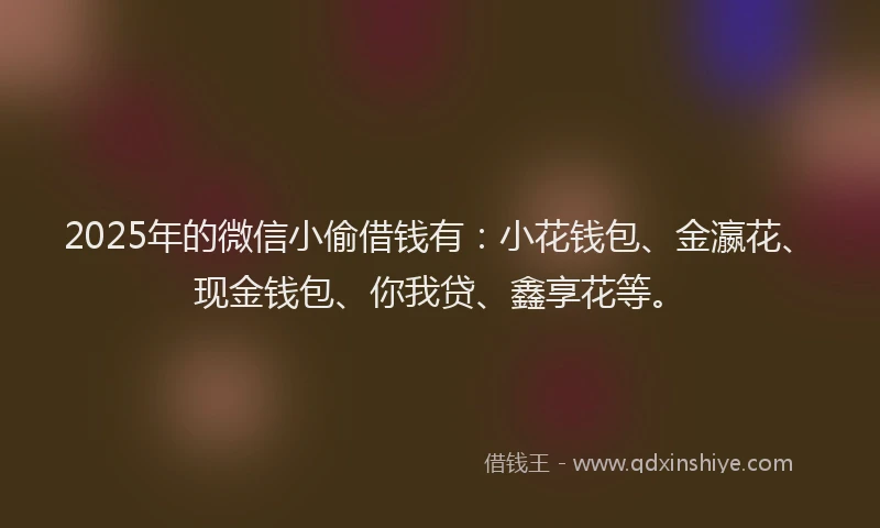 2025年的微信小偷借钱有：小花钱包、金瀛花、现金钱包、你我贷、鑫享花等。