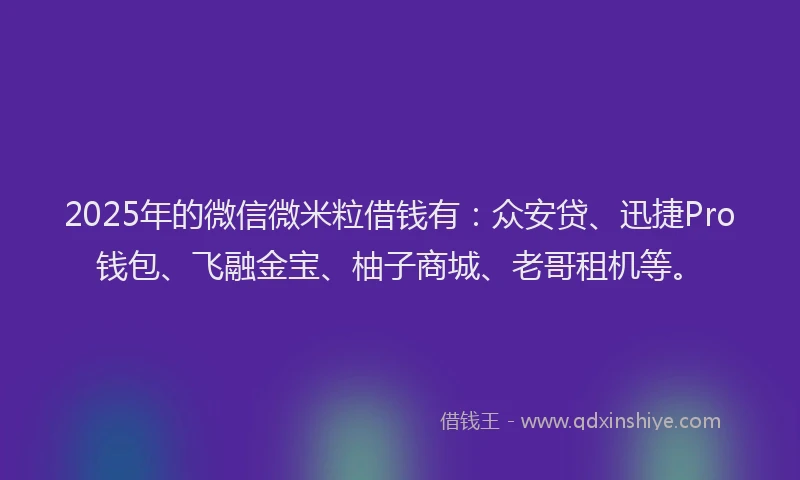 2025年的微信微米粒借钱有：众安贷、迅捷Pro钱包、飞融金宝、柚子商城、老哥租机等。