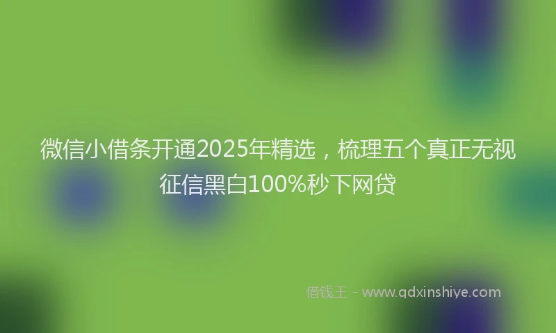 微信小借条开通2025年精选，梳理五个真正无视征信黑白100%秒下网贷