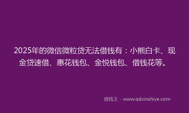 2025年的微信微粒贷无法借钱有：小熊白卡、现金贷速借、惠花钱包、金悦钱包、借钱花等。