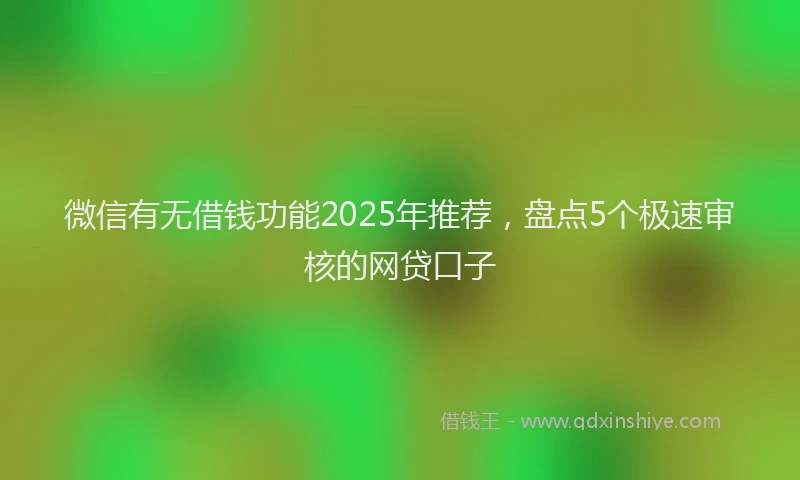 微信有无借钱功能2025年推荐，盘点5个极速审核的网贷口子