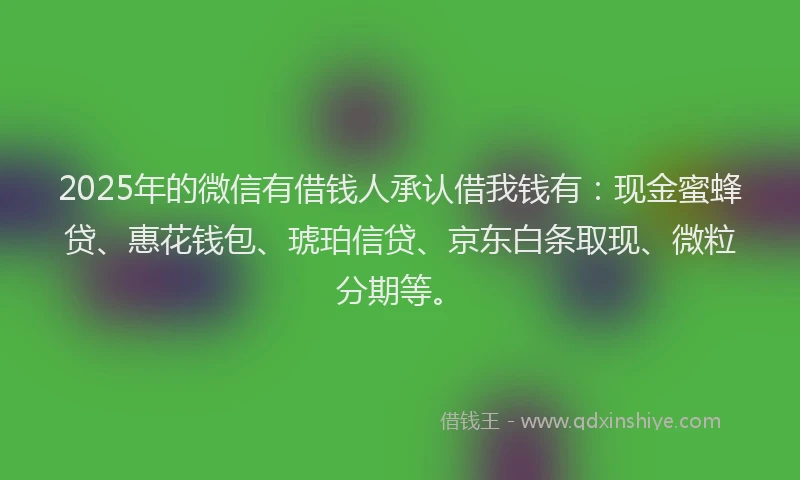 2025年的微信有借钱人承认借我钱有：现金蜜蜂贷、惠花钱包、琥珀信贷、京东白条取现、微粒分期等。