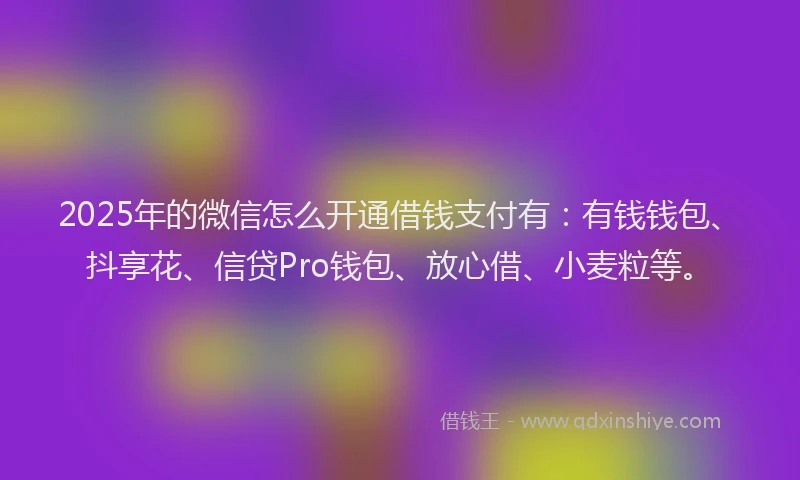 2025年的微信怎么开通借钱支付有：有钱钱包、抖享花、信贷Pro钱包、放心借、小麦粒等。