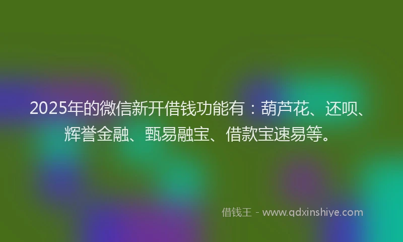 2025年的微信新开借钱功能有：葫芦花、还呗、辉誉金融、甄易融宝、借款宝速易等。