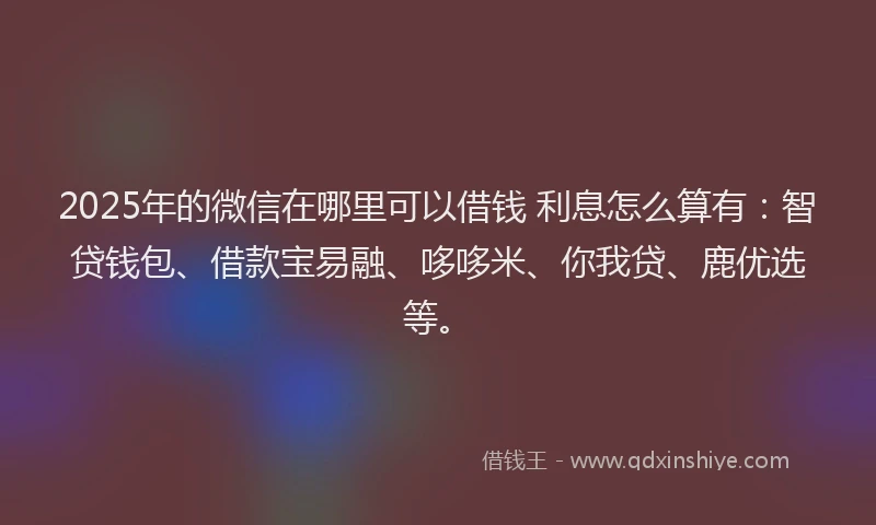 2025年的微信在哪里可以借钱 利息怎么算有：智贷钱包、借款宝易融、哆哆米、你我贷、鹿优选等。
