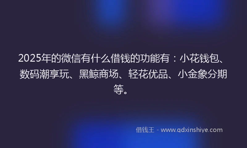 2025年的微信有什么借钱的功能有：小花钱包、数码潮享玩、黑鲸商场、轻花优品、小金象分期等。