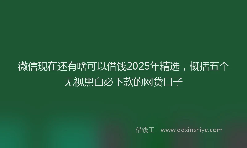 微信现在还有啥可以借钱2025年精选，概括五个无视黑白必下款的网贷口子
