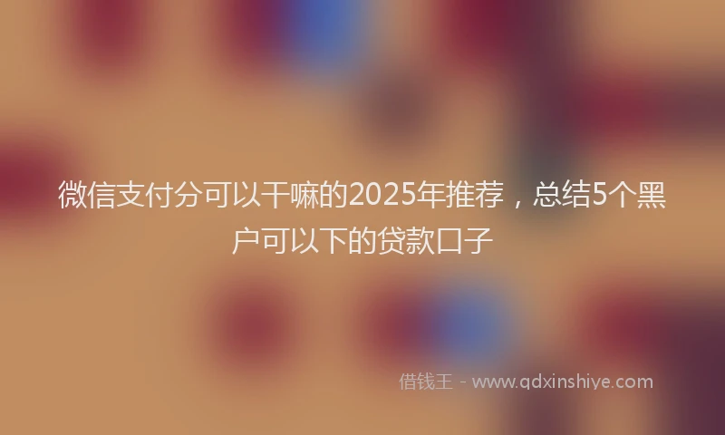 微信支付分可以干嘛的2025年推荐，总结5个黑户可以下的贷款口子