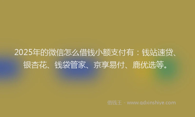 2025年的微信怎么借钱小额支付有：钱站速贷、银杏花、钱袋管家、京享易付、鹿优选等。