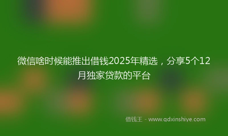微信啥时候能推出借钱2025年精选，分享5个12月独家贷款的平台