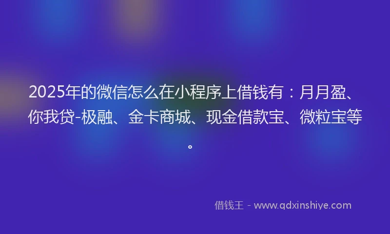 2025年的微信怎么在小程序上借钱有：月月盈、你我贷-极融、金卡商城、现金借款宝、微粒宝等。