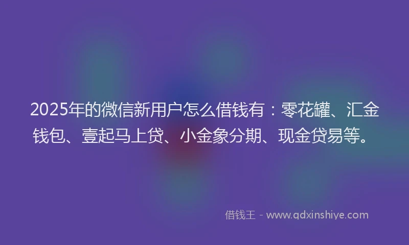 2025年的微信新用户怎么借钱有：零花罐、汇金钱包、壹起马上贷、小金象分期、现金贷易等。