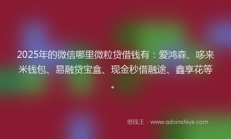 2025年的微信哪里微粒贷借钱有：爱鸿森、哆来米钱包、易融贷宝盒、现金秒借融途、鑫享花等。