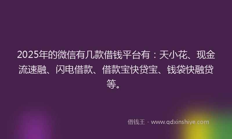 2025年的微信有几款借钱平台有：天小花、现金流速融、闪电借款、借款宝快贷宝、钱袋快融贷等。