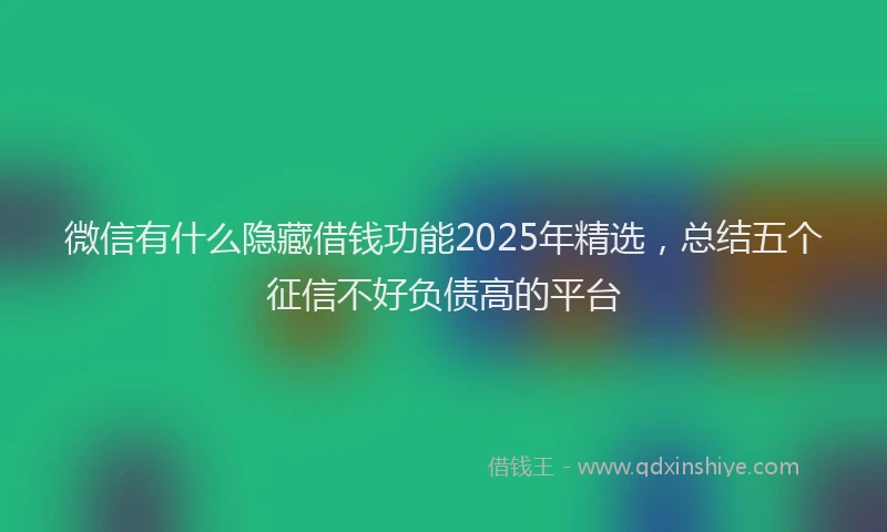 微信有什么隐藏借钱功能2025年精选，总结五个征信不好负债高的平台