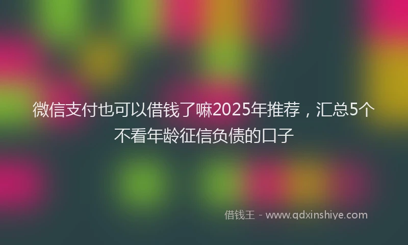 微信支付也可以借钱了嘛2025年推荐，汇总5个不看年龄征信负债的口子
