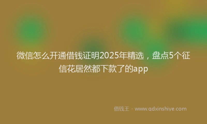 微信怎么开通借钱证明2025年精选，盘点5个征信花居然都下款了的app
