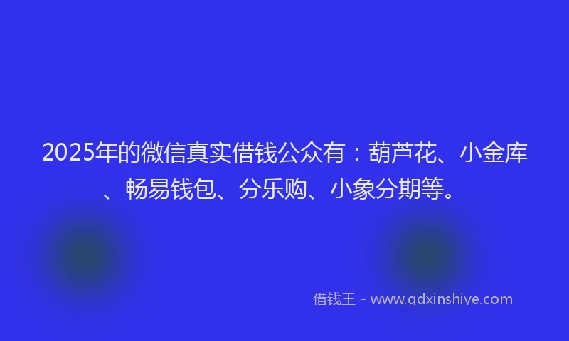 2025年的微信真实借钱公众有：葫芦花、小金库、畅易钱包、分乐购、小象分期等。