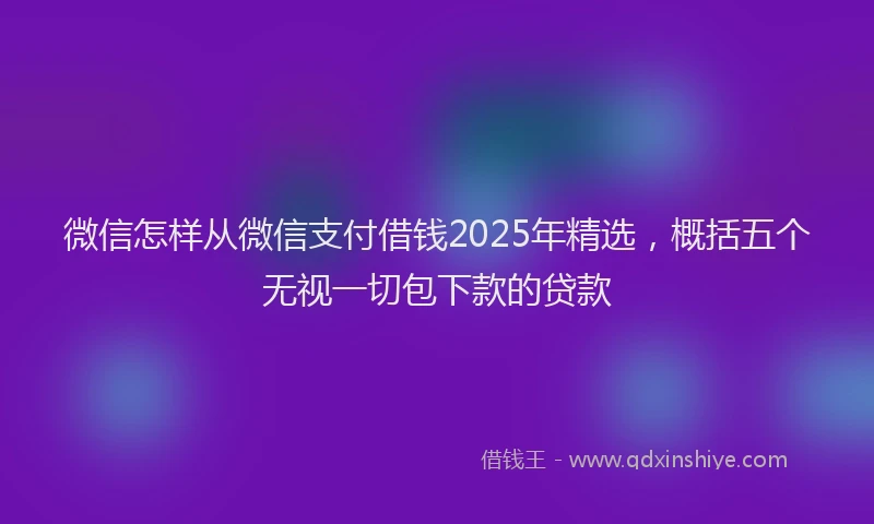 微信怎样从微信支付借钱2025年精选，概括五个无视一切包下款的贷款